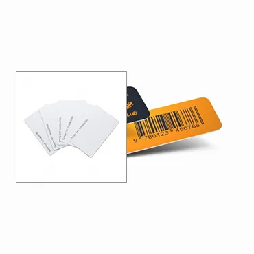 Advantages of Choosing Plastic Card ID
 for Your Printing Needs